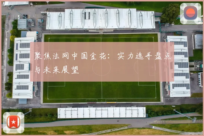 聚焦法网中国金花：实力选手盘点与未来展望