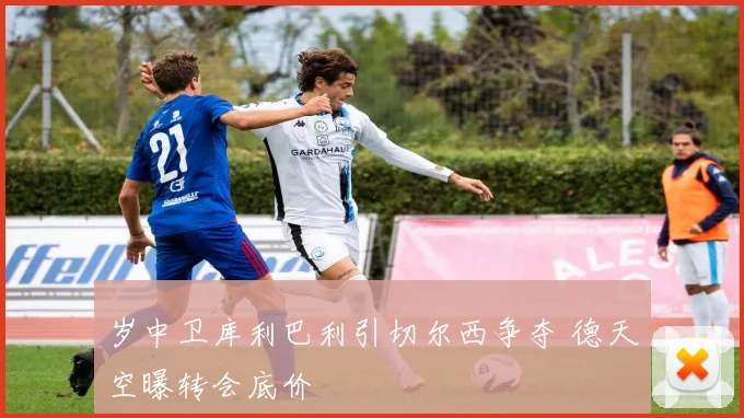岁中卫库利巴利引切尔西争夺 德天空曝转会底价