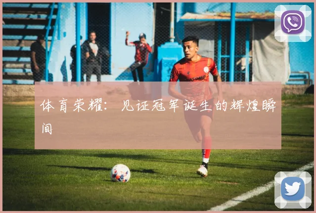 体育荣耀：见证冠军诞生的辉煌瞬间