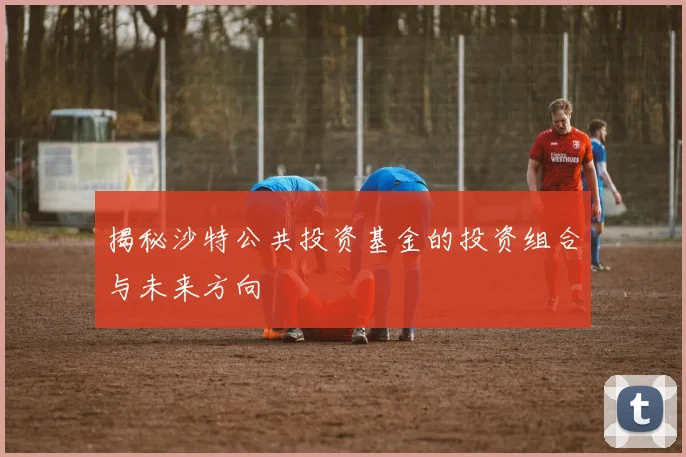揭秘沙特公共投资基金的投资组合与未来方向
