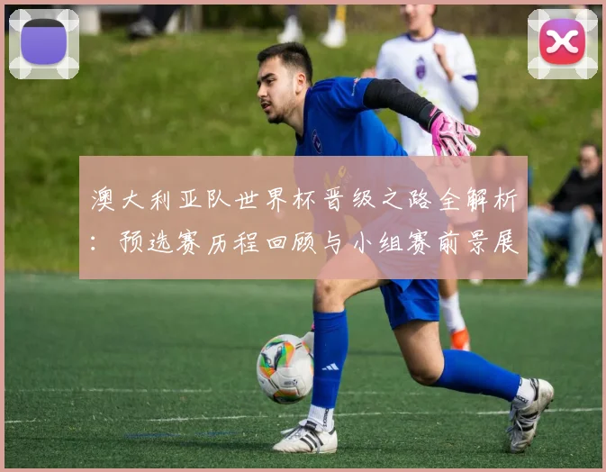 澳大利亚队世界杯晋级之路全解析:预选赛历程回顾与小组赛前景展望