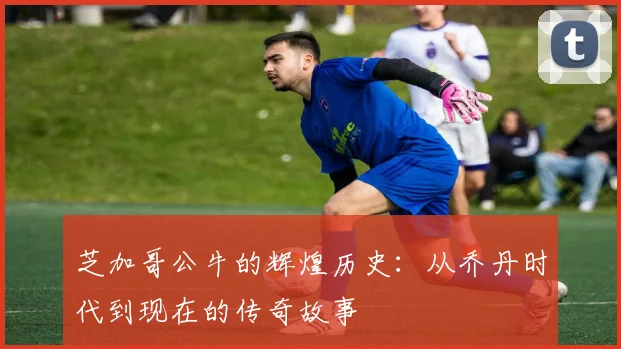 芝加哥公牛的辉煌历史：从乔丹时代到现在的传奇故事